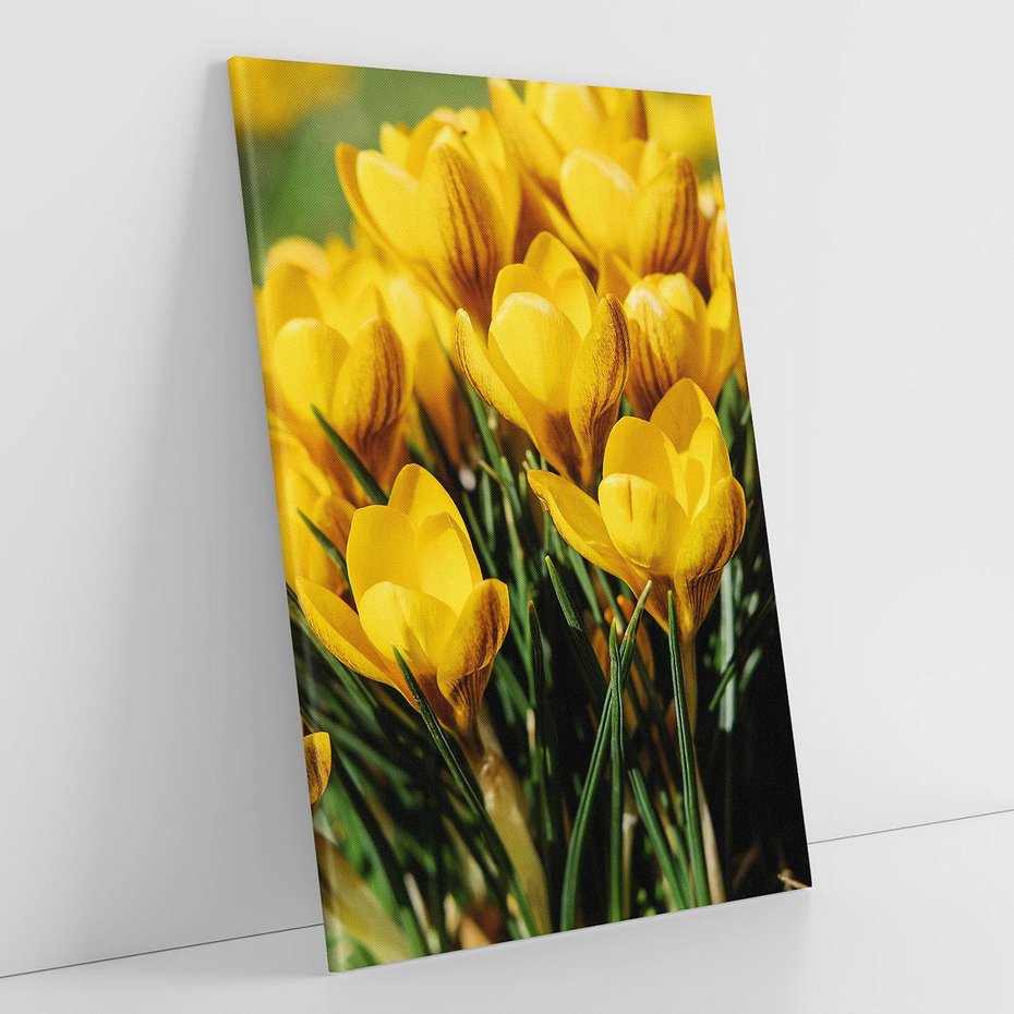 Obraz na płótnie 70x100 - Kwiatowe uniesienia natury - kwiat, kwiaty