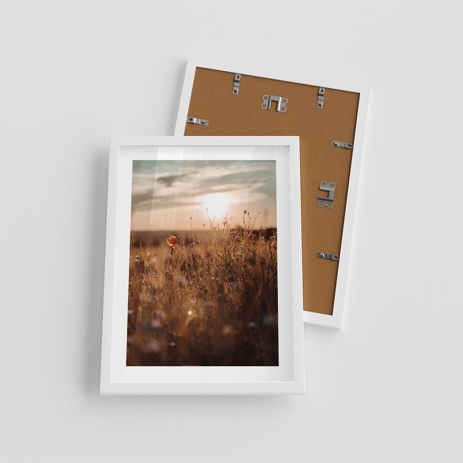 Plakat w ramie 30x40 - Zachwyt zachodem słońca na łące - zachód, słońca - rama biała