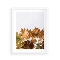 Plakat w ramie 40x50 - Suche Żółte Liście w Malowniczym Ujęciu - liście, żółte - rama biała