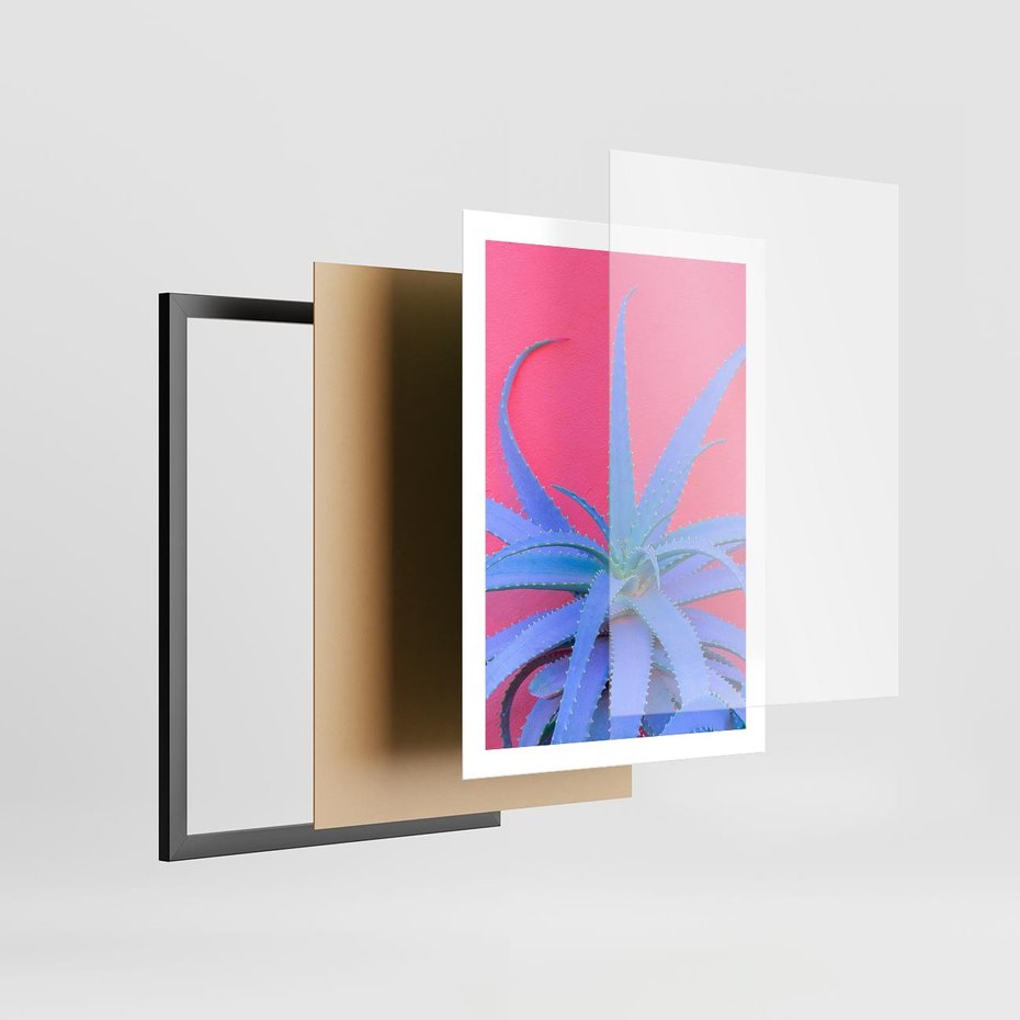 Plakat w ramie 50x70 - Piękno Pustyni - kaktusy, liście - rama czarna