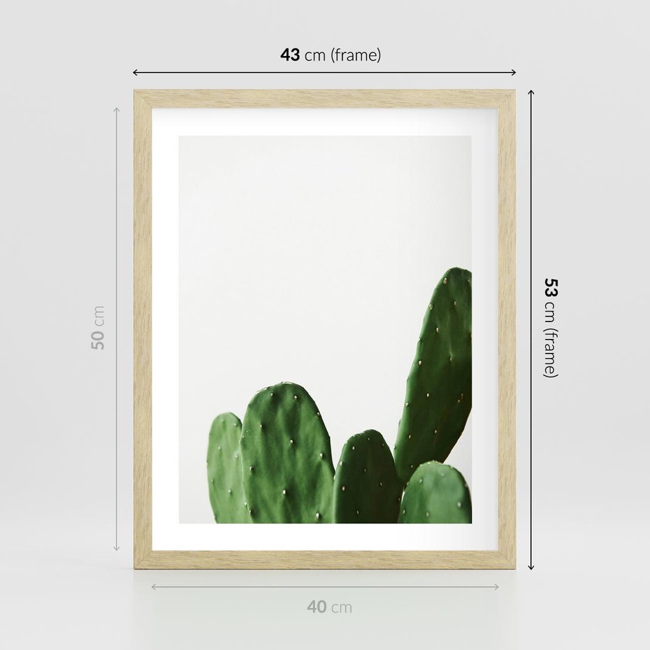 Plakat w ramie 40x50 - Minimalizm Natury - kaktus, zbliżenie - rama drewno