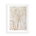 Plakat w ramie 50x70 - Minimalistyczna Delikatność - białe kwiaty, gipsówka - rama biała