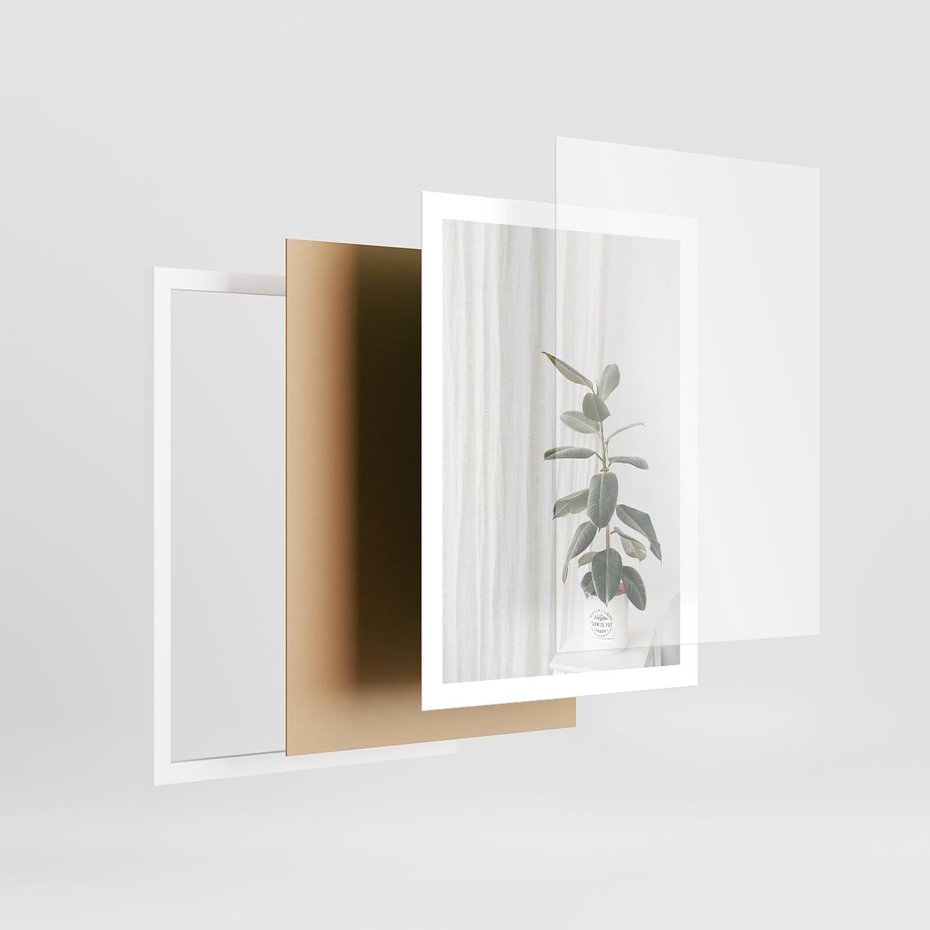 Plakat w ramie 50x70 - Kwiat w Bieli - kwiat w doniczce, białe wnętrze - rama biała