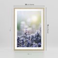 Plakat w ramie 50x70 - Delikatna Uroda Natury - wrzosy, fiolet - rama drewno