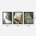 Zestaw obrazy w ramie 50x70 galeria - Sukulenty, kaktusy, boho, kwiaty - rama czarna