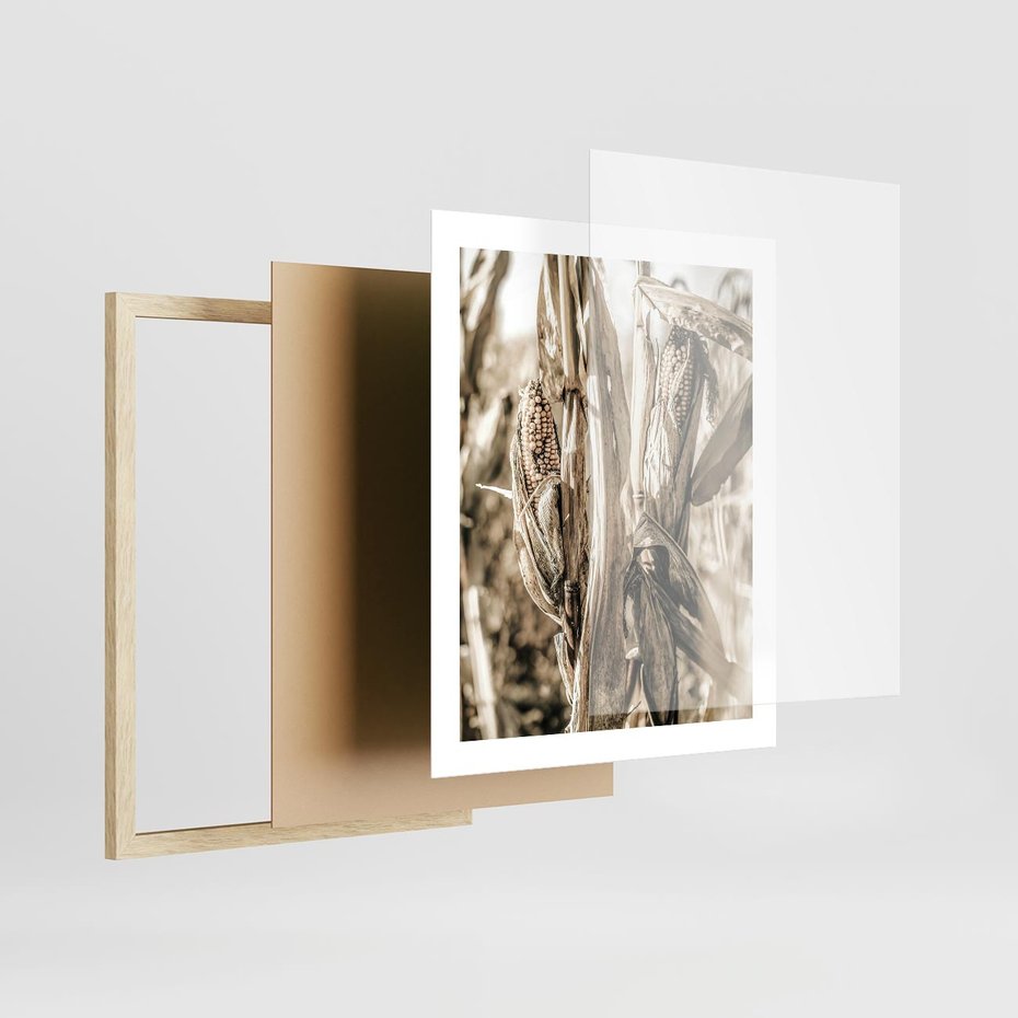 Plakat w ramie 40x50 - Retro Pole Kukurydzy - retro zdjęcie, sepia - rama drewno