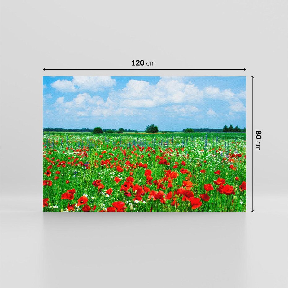 Obraz na płótnie 120x80 - Kolorowa łąka pełna maku - łąka, maki