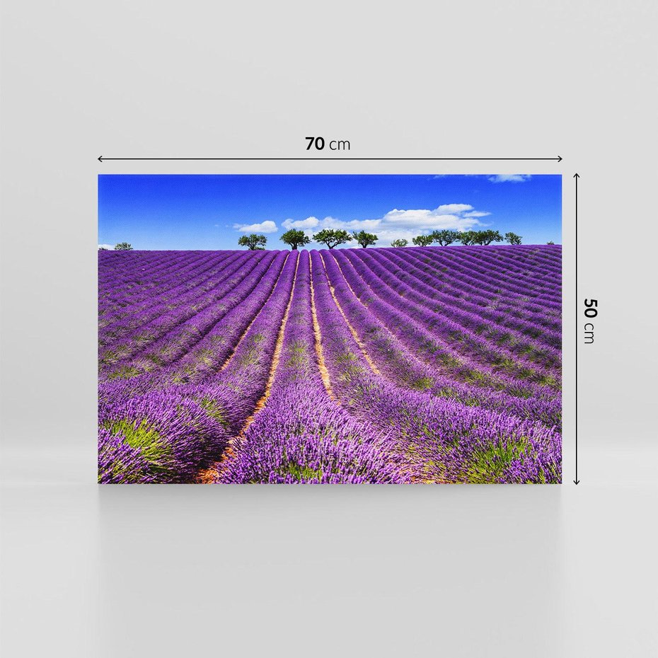 Obraz na płótnie 70x50 - pola wonnych kwiatów - lawenda, kwiaty