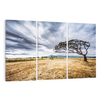 Obraz na płótnie 120x80 - Mistyka afrykańskiej sawanny - sawanna, drzewo
