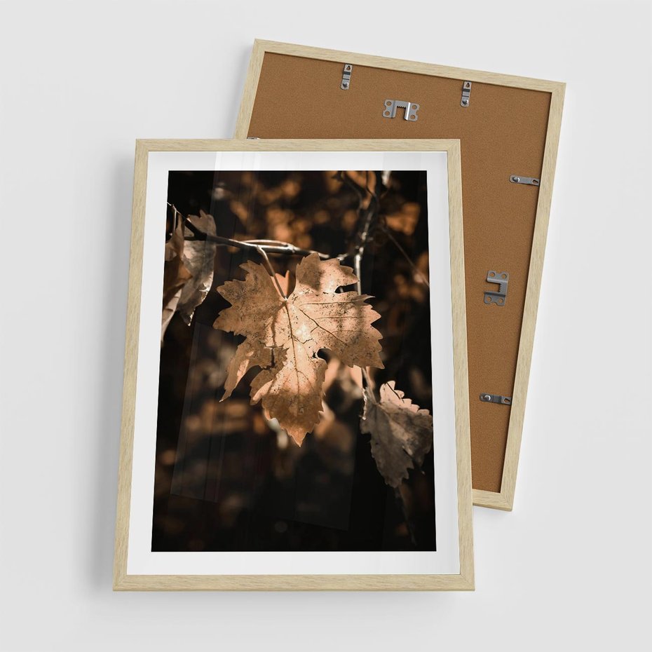 Plakat w ramie 50x70 - Uroczy Liść na Drzewie - jesienny liść, żółty liść na drzewie - rama drewno