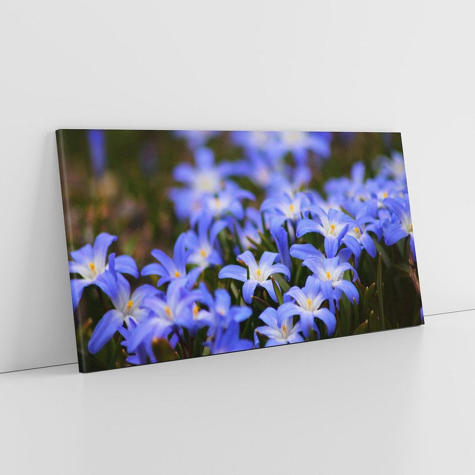 Obraz na płótnie 120x60 - Kwiatowy raj w naturze - kwiat, kwiaty