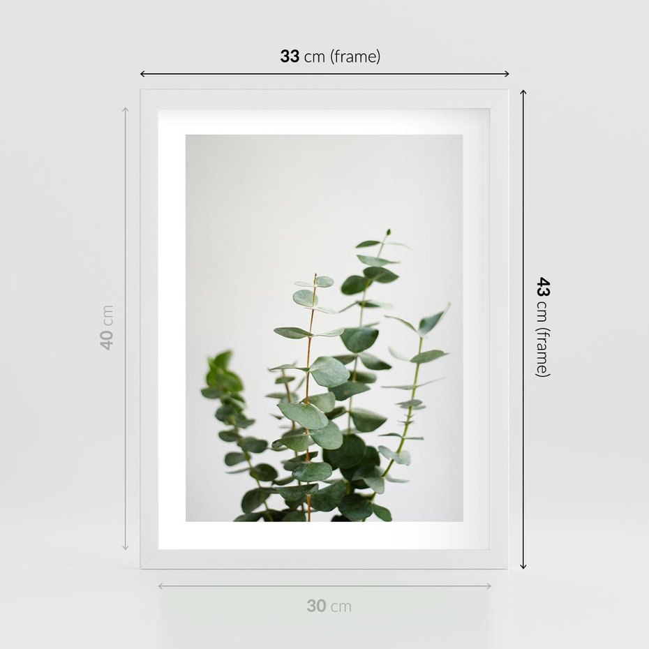 Plakat w ramie 30x40 - Żywa eukaliptusowa zieleń - eukaliptus, zielone - rama biała