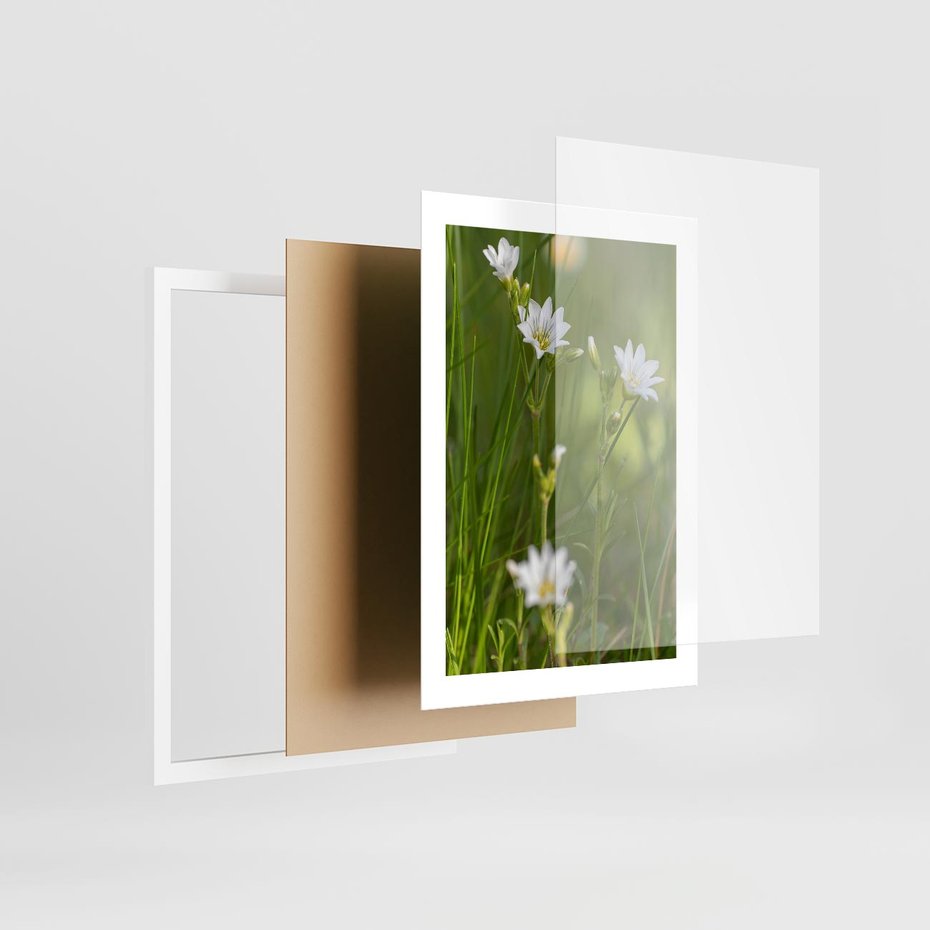 Plakat w ramie 30x40 - Kolorowa łąka - stokrotki, łąka - rama biała