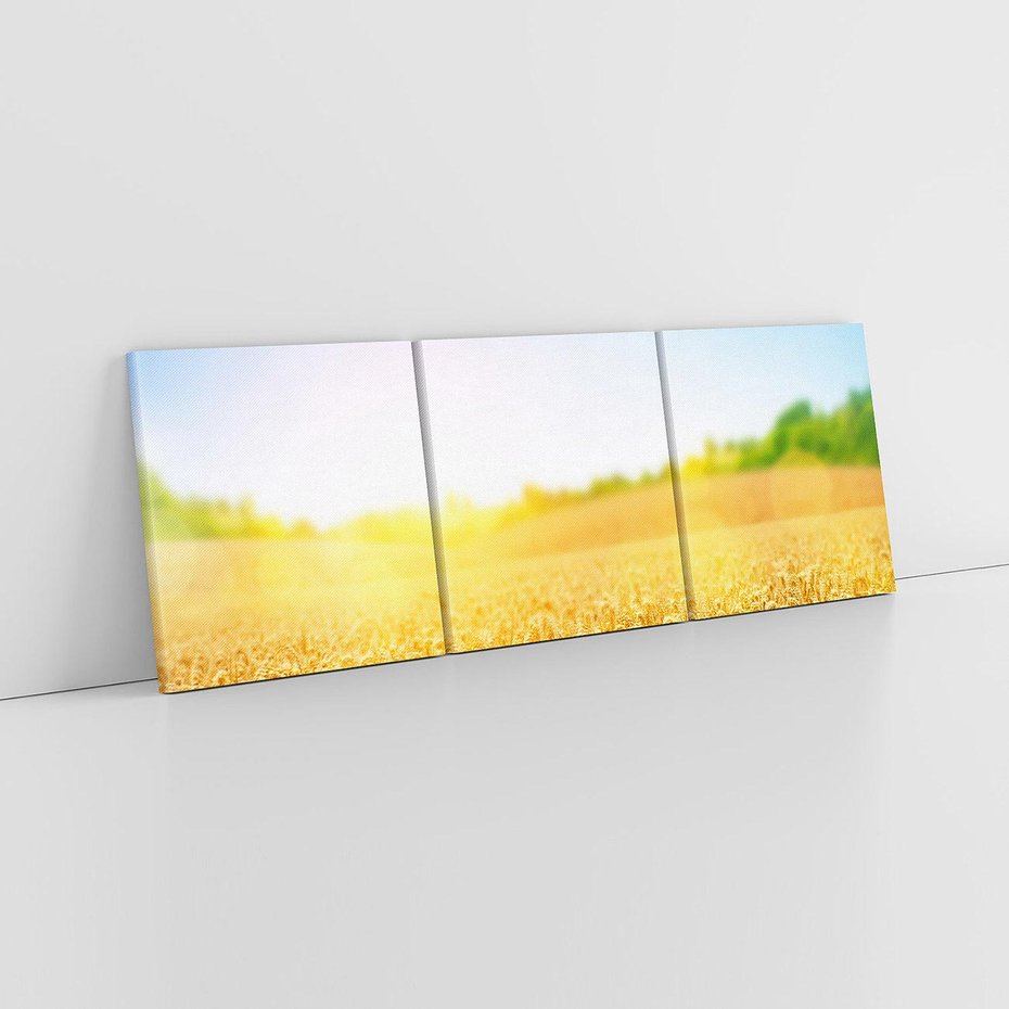 Obraz na płótnie 150x50 - Żyzne Pola - pole, pszenicy