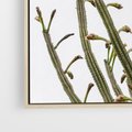 Obraz w ramie 120x80 - Ekskluzywna Roślinność - kaktusy, liście - rama drewno