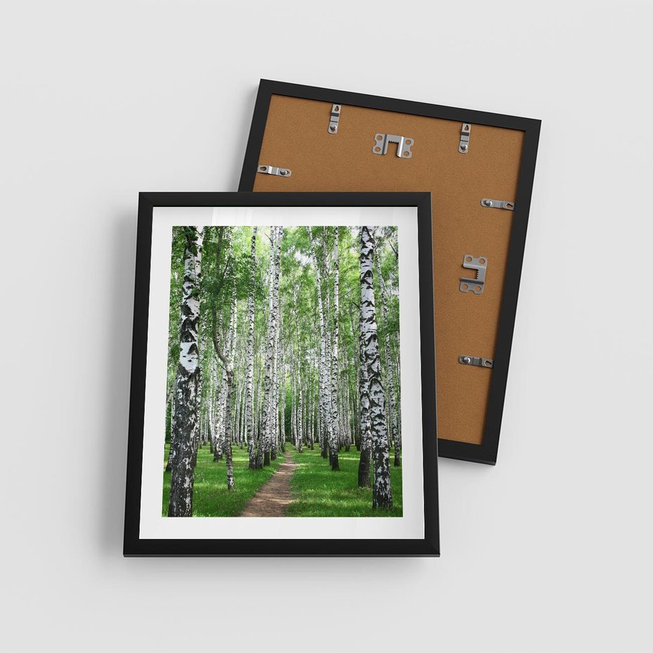 Plakat w ramie 40x50 - Magia lasu pełnego brzóz - las, brzozy - rama czarna