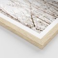 Plakat w ramie 30x40 - Szron na Gałęziach - ośnieżone gałązki, szron na gałęziach - rama drewno
