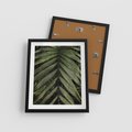 Plakat w ramie 40x50 - W Liściach Ukryte - zdjęcie, fotografia - rama czarna