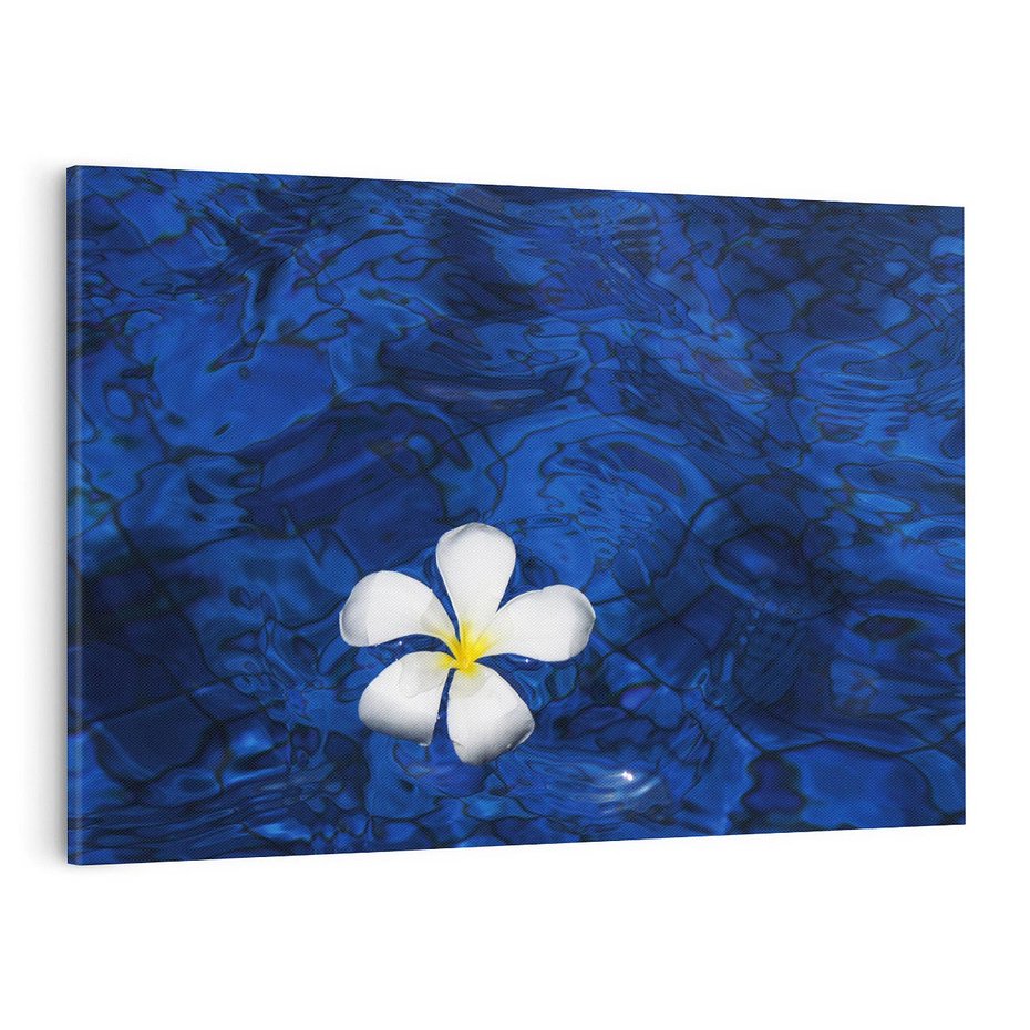 Obraz na płótnie 100x70 - Kwiaty wodne delikatność natury - kwiat, woda