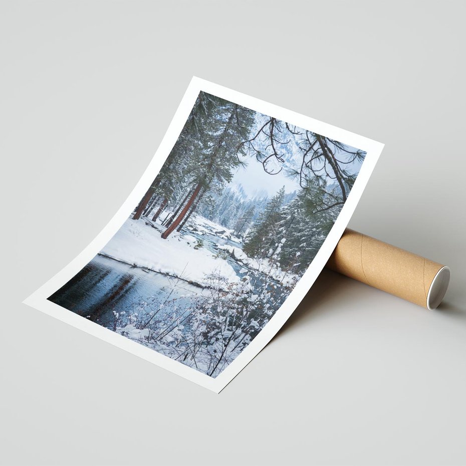 Plakat bez ramy 40x50 - Śnieżne cuda - zima, las