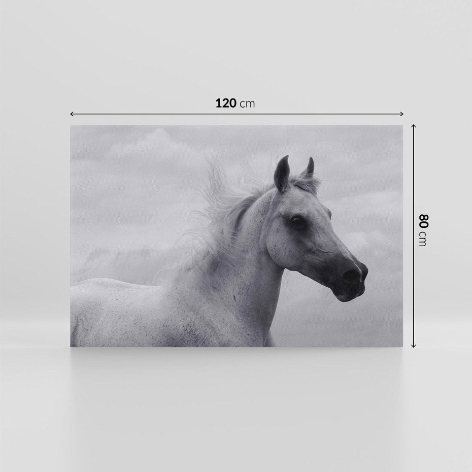 Obraz na płótnie 120x80 - Moc i Wolność - czarno biała fotografia, biały