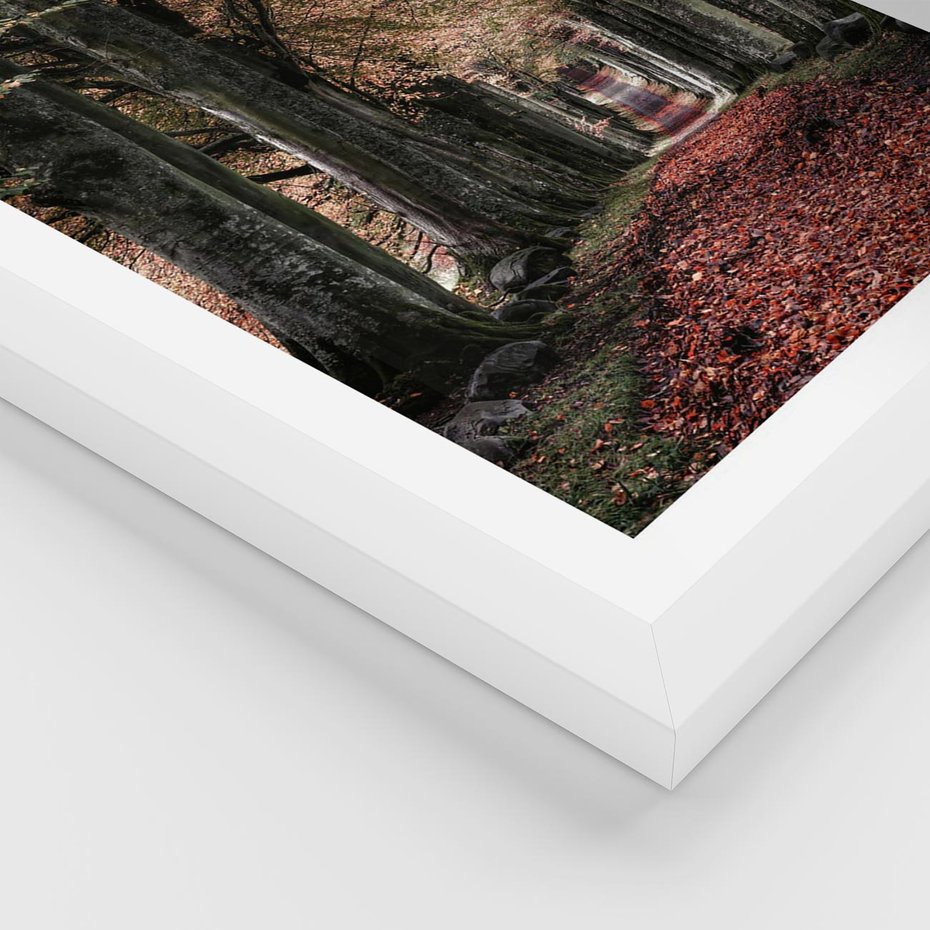 Plakat w ramie 50x70 - Spacer po Leśnej Drodze - ścieżka w lesie, jesień suche liście - rama biała