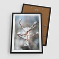 Plakat w ramie 50x70 - Zimowy Urok Natury - gałązki pod śniegiem, natura - rama czarna