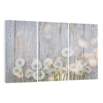 Obraz na płótnie 120x80 - Symbol swobody - dmuchawce