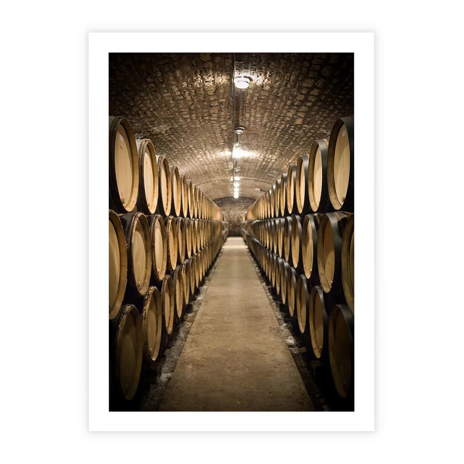 Plakat bez ramy 21x30 - Winniczka - winnica, beczki