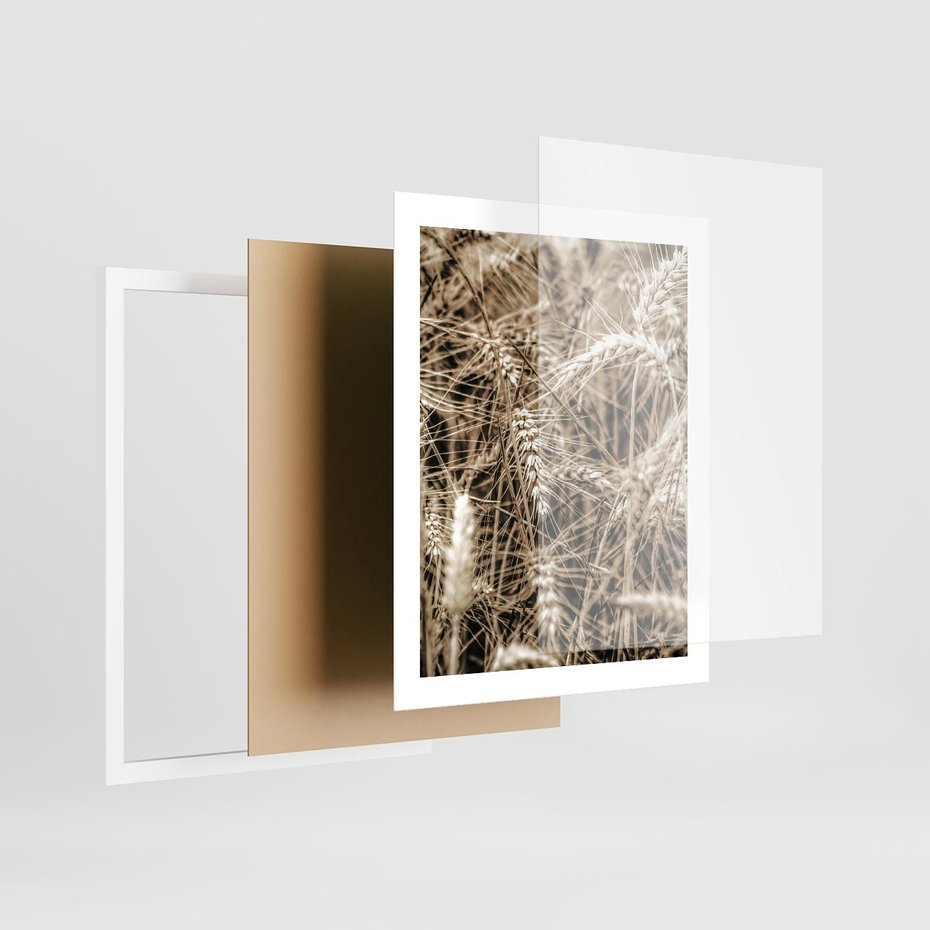 Plakat w ramie 40x50 - Zbliżenie na Kłosy Zboża - zboża, kłosy zboża - rama biała