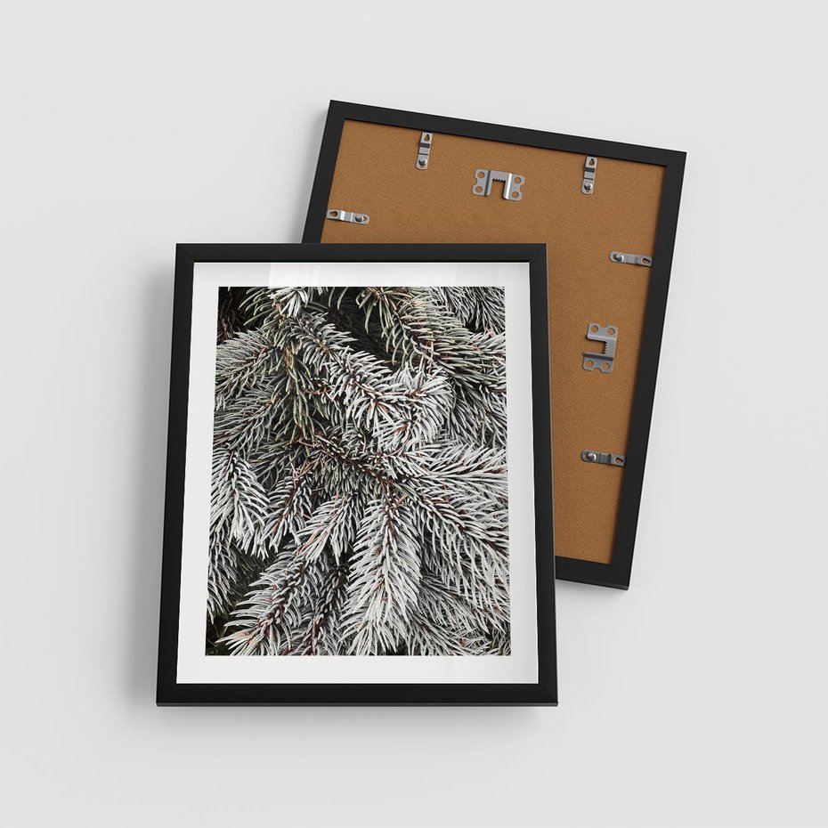 Plakat w ramie 40x50 - Cisza Zimowej Natury - zima, iglaste gałązki - rama czarna