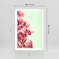 Plakat w ramie 50x70 - Orchidea - delikatne kwiaty - orchidea, kwiaty - rama biała