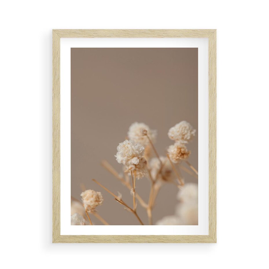 Plakat w ramie 50x70 - Przezroczyste piękno - gipsówka, suche - rama drewno
