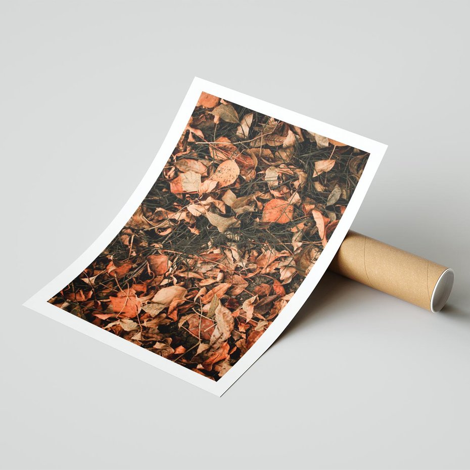 Plakat bez ramy 21x30 - Jesienny Splot: Pomarańczowe Liście - liście, pomarańczowe suche liście