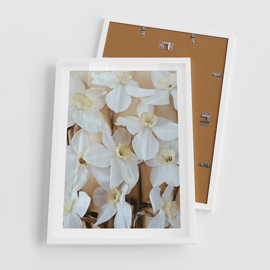 Plakat w ramie 50x70 - Białe Narcyzy - narcyzy, kwiaty - rama biała