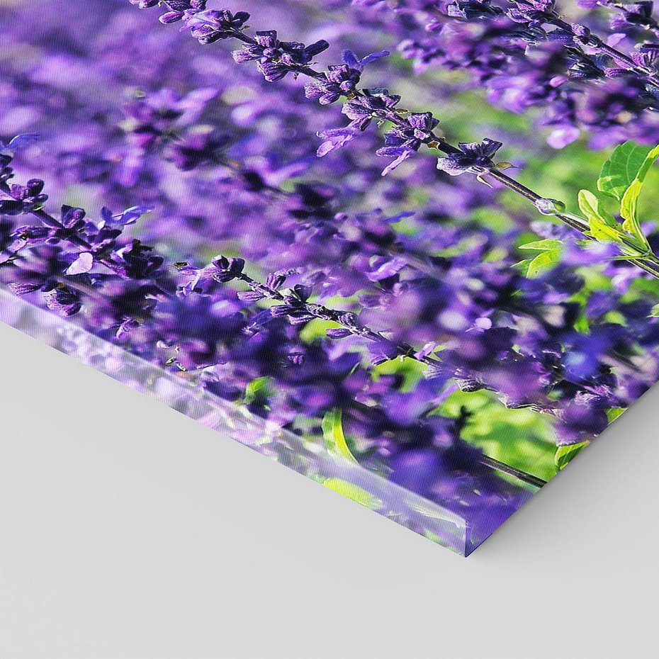 Obraz na płótnie 70x50 - Lawendowa Mgła - lawenda, kwiat
