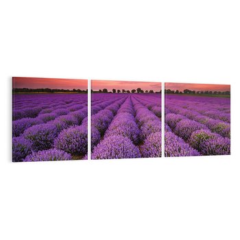 Obraz na płótnie 120x40 - Lawenda: polne zauroczenie - lawenda, kwiaty