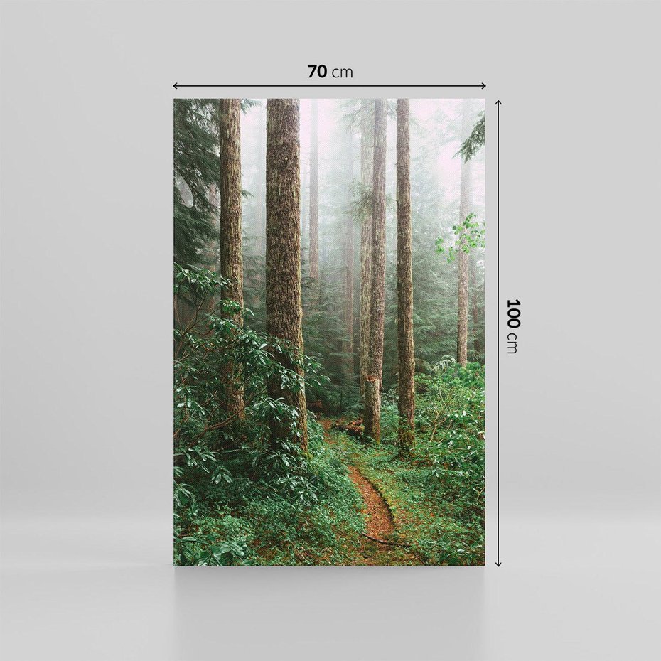 Obraz na płótnie 70x100 - Mgliste Marzenia - artystyczna fotografia, las