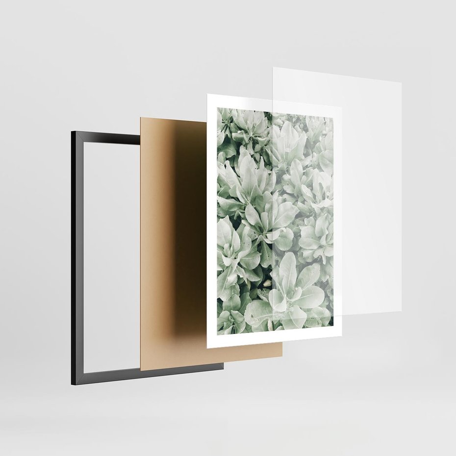 Plakat w ramie 50x70 - Liście w Jasnych Odcieniach Zielonego - liście, jasna zieleń fotografia - rama czarna