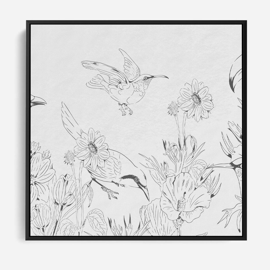 Obraz w ramie 50x50 - Tropiki w Monochromie - czarno biały szkic, tropikalne ptaki - rama czarna