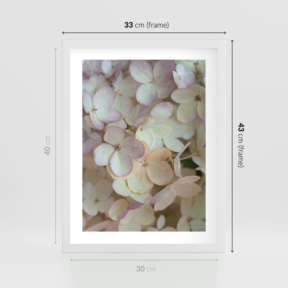 Plakat w ramie 30x40 - Kwiatowy taniec - kwiaty, hortensje - rama biała