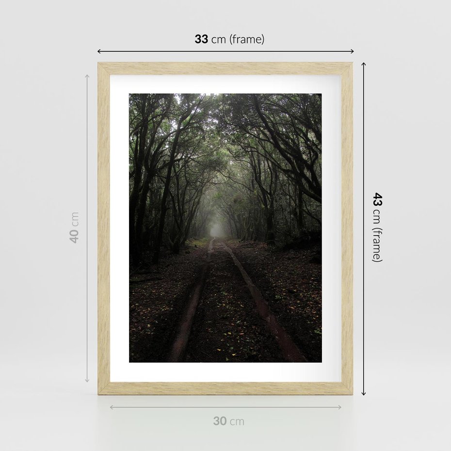 Plakat w ramie 30x40 - Urok Drogi - las, droga - rama drewno