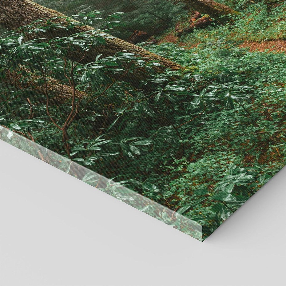 Obraz na płótnie 70x100 - Mgliste Marzenia - artystyczna fotografia, las