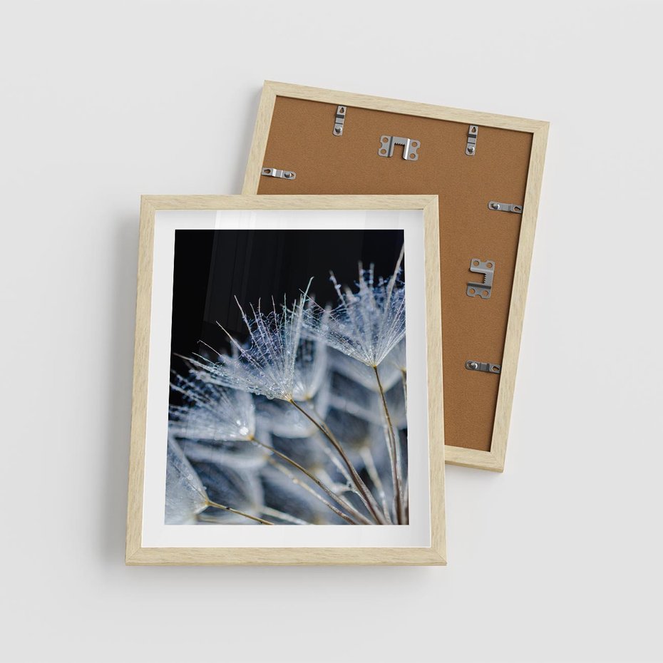 Plakat w ramie 40x50 - Makro piękno dmuchawców - makro, dmuchawce - rama drewno