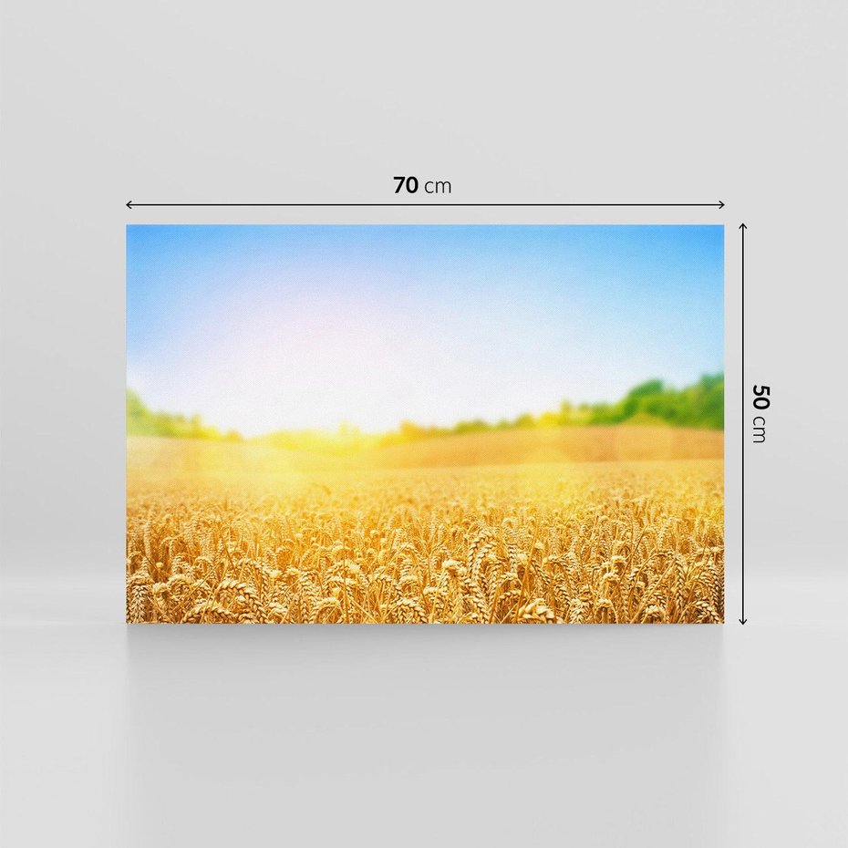 Obraz na płótnie 70x50 - Żyzne Pola - pole, pszenicy