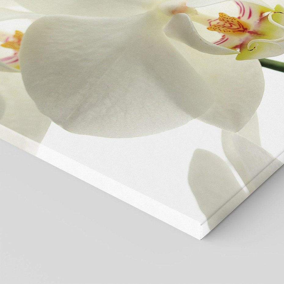 Obraz na płótnie 80x80 - Kwiatowe piękno - kwiat, kwiaty