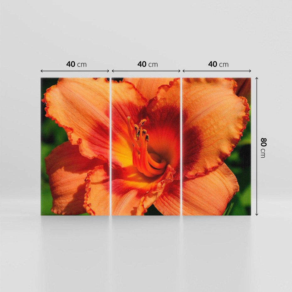 Obraz na płótnie 120x80 - Kwiatowa harmonia natury - kwiat, kwiaty