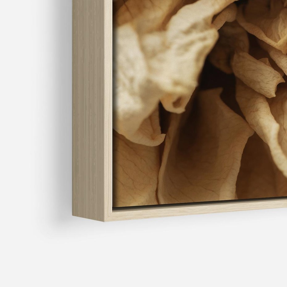 Obraz w ramie 50x50 - Zjawiskowe zasuszone kwiaty - zasuszone, kwiaty - rama drewno