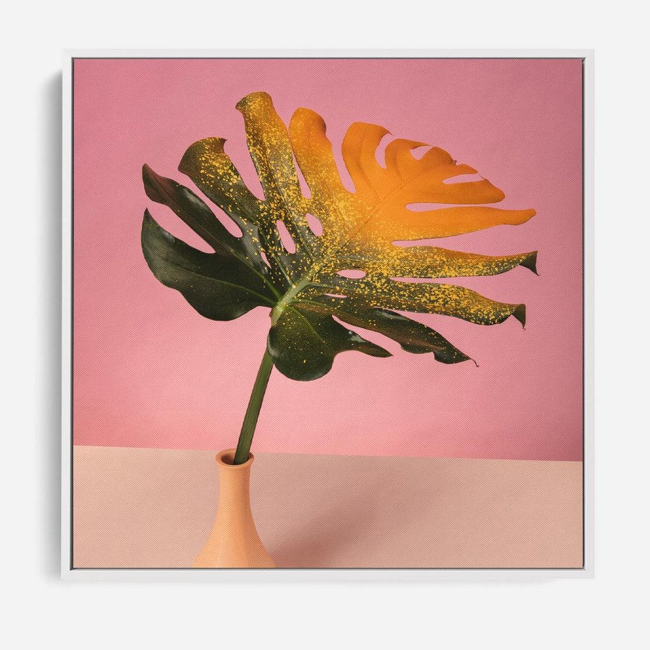 Obraz w ramie 80x80 - Egzotyczna monstera - monstera, liść - rama biała