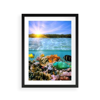 Plakat w ramie 40x50 - Rafa Koralowa - Podwodne Cuda - rafa, koralowa - rama czarna